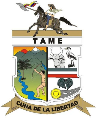 Alcaldía de Tame